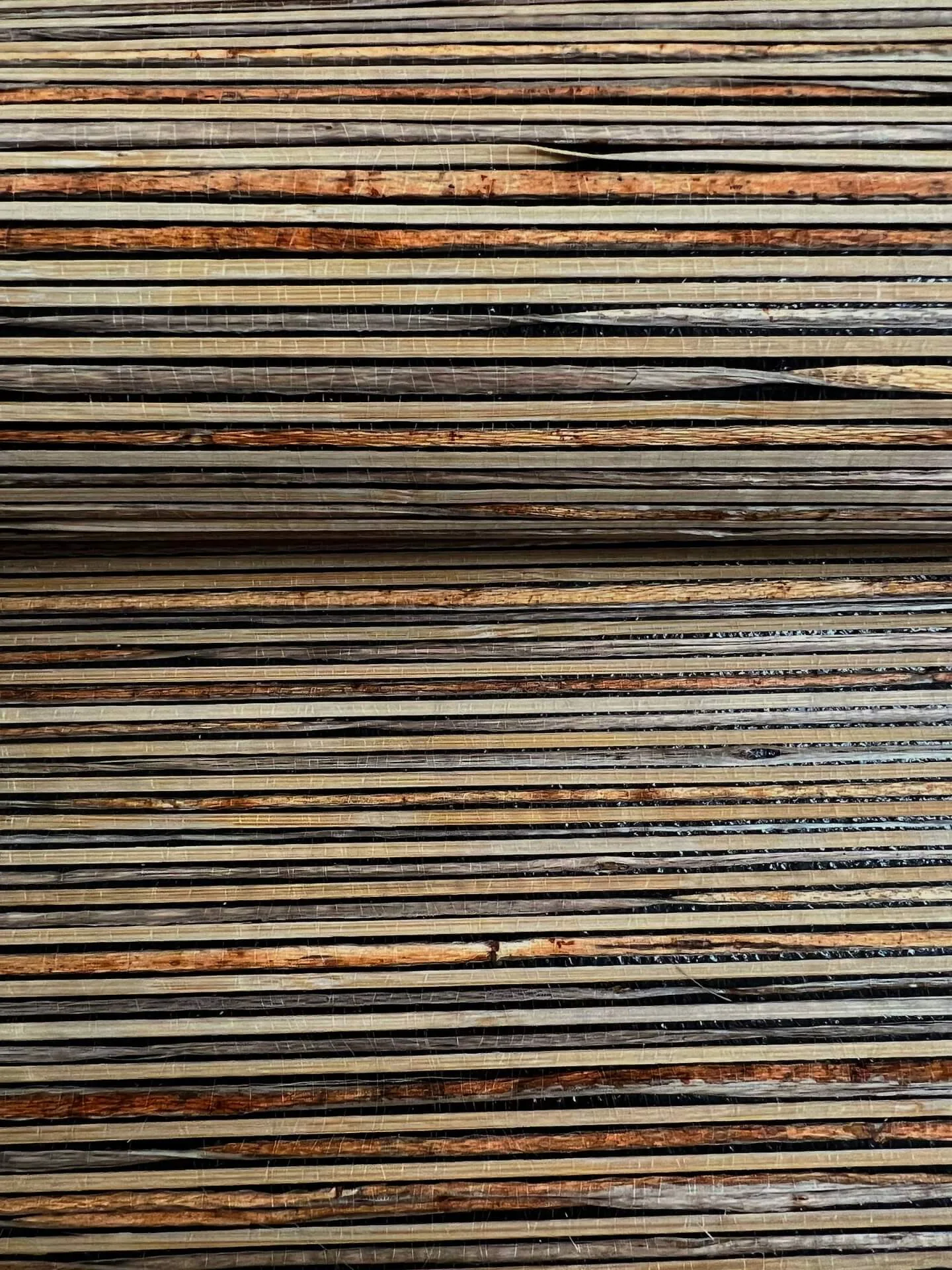 Candice Olson Bamboo wallpaper, color Black, SKU NT6101