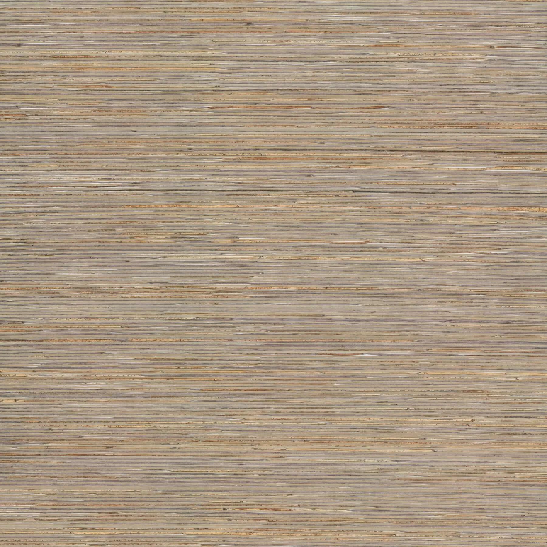 Candice Olson Bamboo wallpaper, color Taupe, SKU NT6102
