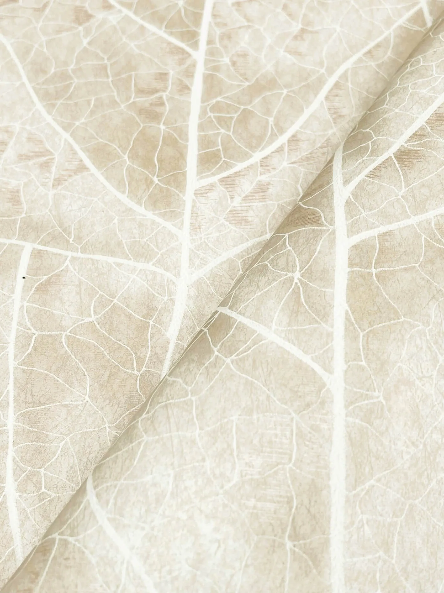 Candice Olson Dicot wallpaper, color Beige, SKU NT6144