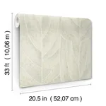 Candice Olson Dicot - Light Green Wallpaper | Buy Online Candice Olson Dicot wallpaper, color Light Green, SKU NT6142