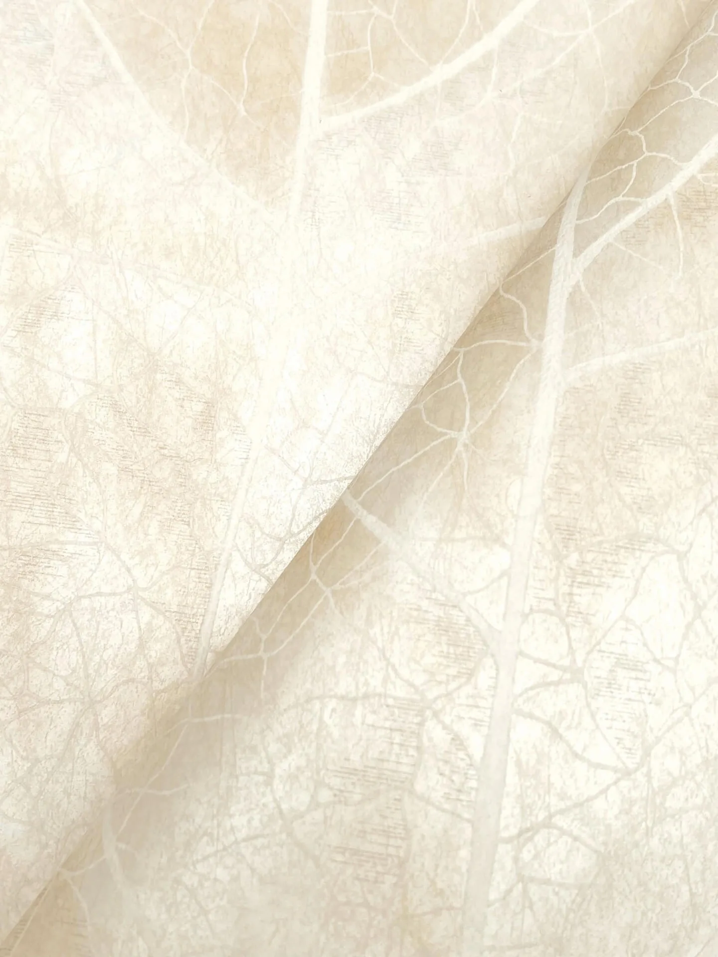Candice Olson Dicot - Pearl Wallpaper | Buy Online Candice Olson Dicot wallpaper, color Pearl, SKU NT6145
