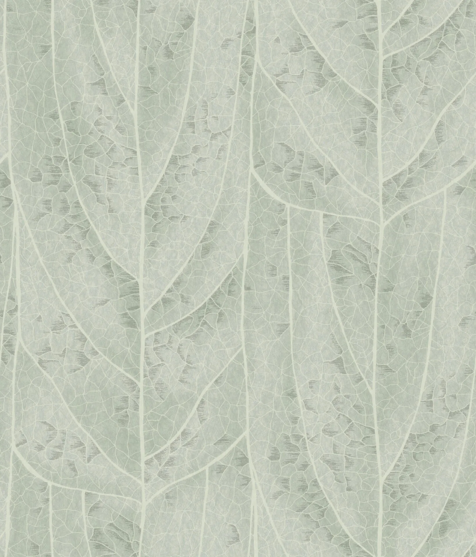 Candice Olson Dicot wallpaper, color Spa, SKU NT6141