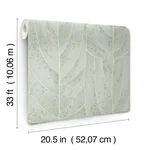 Candice Olson Dicot - Spa Wallpaper | Buy Online Candice Olson Dicot wallpaper, color Spa, SKU NT6141