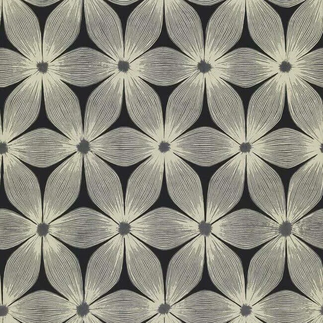 Candice Olson Everlasting wallpaper, color Black & Silver, SKU CI2305