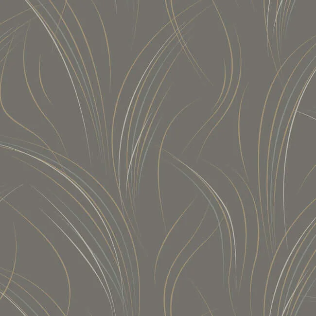 Candice Olson Graceful Wisp wallpaper, color Charcoal, SKU EV3936