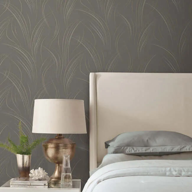Candice Olson Graceful Wisp wallpaper, color Charcoal, SKU EV3936