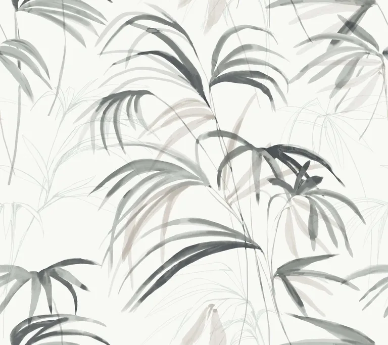 Candice Olson Inky wallpaper, color Black, SKU NT6123
