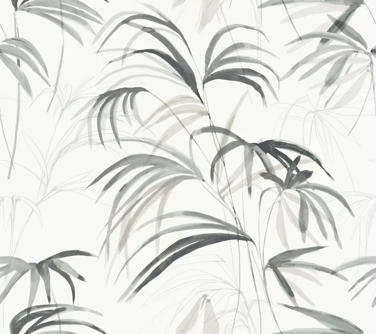 Candice Olson Inky Palms wallpaper, color Black, SKU PSW1611RL