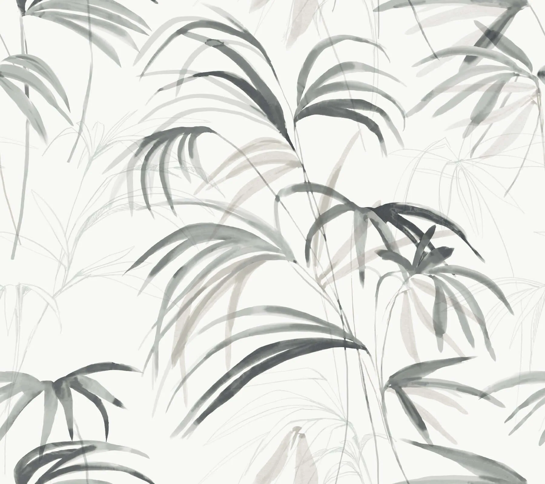 Candice Olson Inky Palms wallpaper, color Black, SKU PSW1611RL