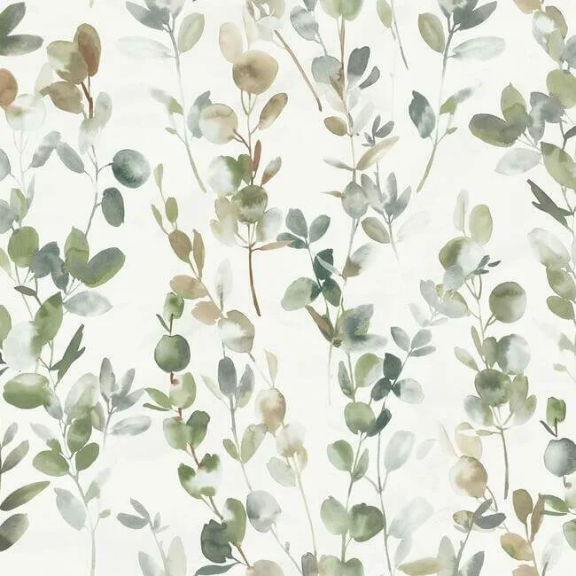 Candice Olson Joyful Eucalpytus wallpaper, color Green, SKU OS4311