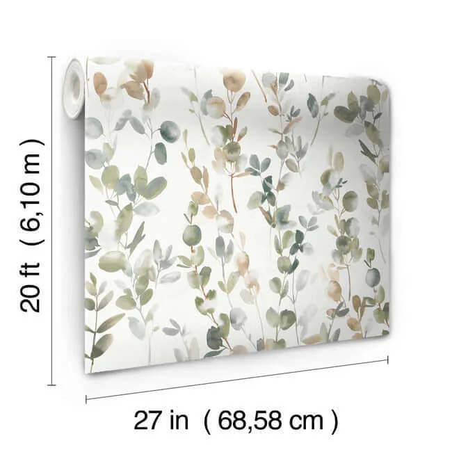 Candice Olson Joyful Eucalyptus - Green Wallpaper | Buy Online Candice Olson Joyful Eucalyptus wallpaper, color Green, SKU PSW1430RL