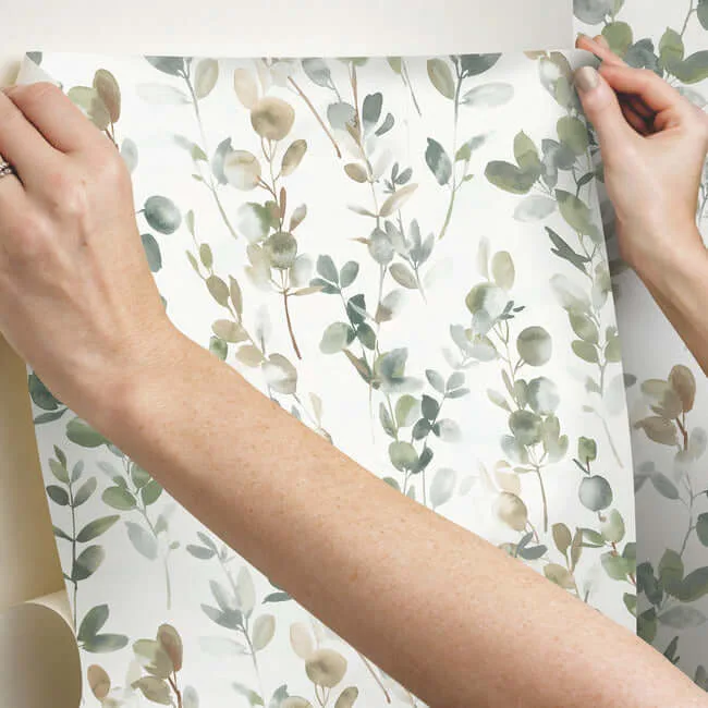 Candice Olson Joyful Eucalyptus - Green Wallpaper | Buy Online Candice Olson Joyful Eucalyptus wallpaper, color Green, SKU PSW1430RL