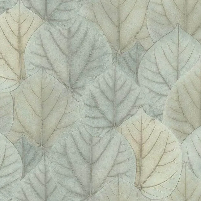 Candice Olson Leaf Concerto wallpaper, color Blue & Taupe, SKU OS4244