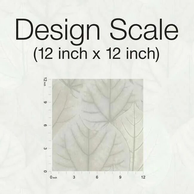 Candice Olson Leaf Concerto wallpaper, color Grey, SKU OS4246