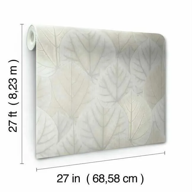 Candice Olson Leaf Concerto wallpaper, color Grey, SKU OS4246