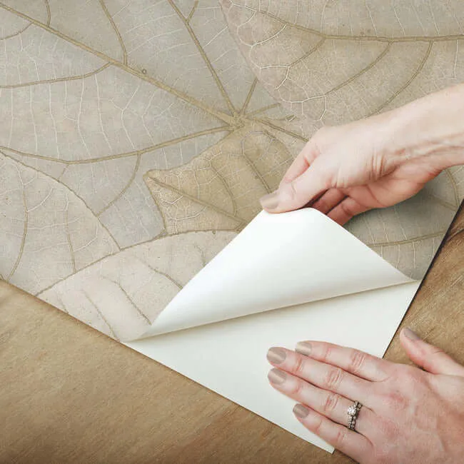Candice Olson Leaf Concerto - Warm Taupe Wallpaper | Buy Online Candice Olson Leaf Concerto wallpaper, color Warm Taupe, SKU PSW1425RL