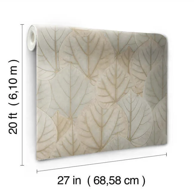 Candice Olson Leaf Concerto - Warm Taupe Wallpaper | Buy Online Candice Olson Leaf Concerto wallpaper, color Warm Taupe, SKU PSW1425RL