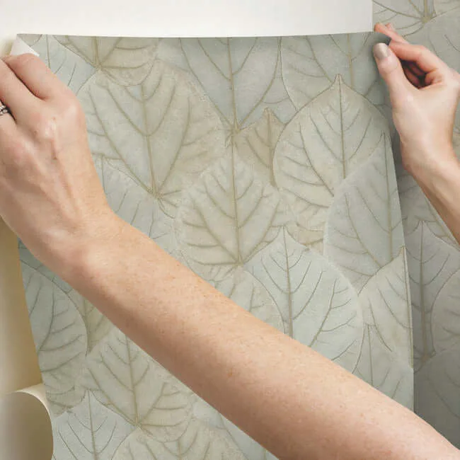 Candice Olson Leaf Concerto - Warm Taupe Wallpaper | Buy Online Candice Olson Leaf Concerto wallpaper, color Warm Taupe, SKU PSW1425RL