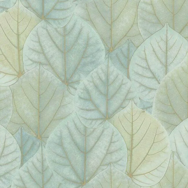 Candice Olson Leaf Concerto wallpaper, color Turquoise, SKU OS4241