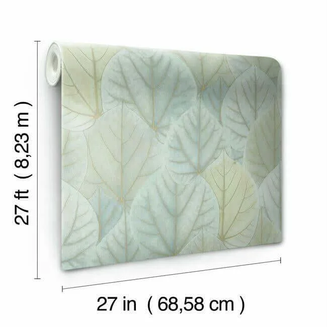 Candice Olson Leaf Concerto - Turquoise Wallpaper | Buy Online Candice Olson Leaf Concerto wallpaper, color Turquoise, SKU OS4241