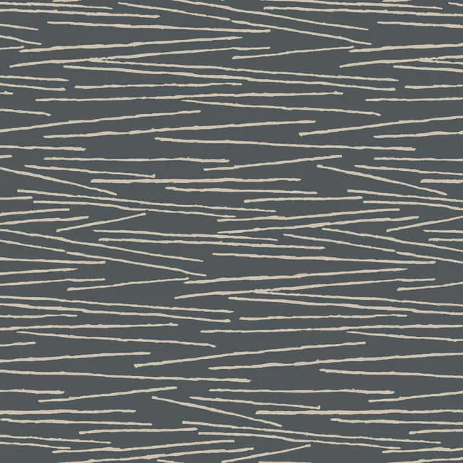 Candice Olson Line Horizon wallpaper, color Charcoal, SKU EV3940