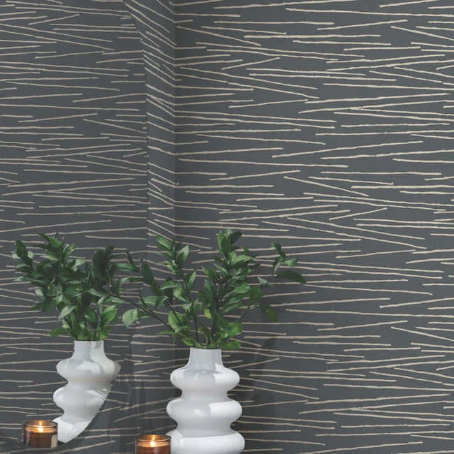 Candice Olson Line Horizon wallpaper, color Charcoal, SKU EV3940