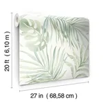 Candice Olson Paradise Palm - Aloe Wallpaper | Buy Online Candice Olson Paradise Palm wallpaper, color Aloe, SKU PSW1413RL