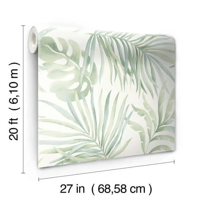 Candice Olson Paradise Palm - Aloe Wallpaper | Buy Online Candice Olson Paradise Palm wallpaper, color Aloe, SKU PSW1413RL