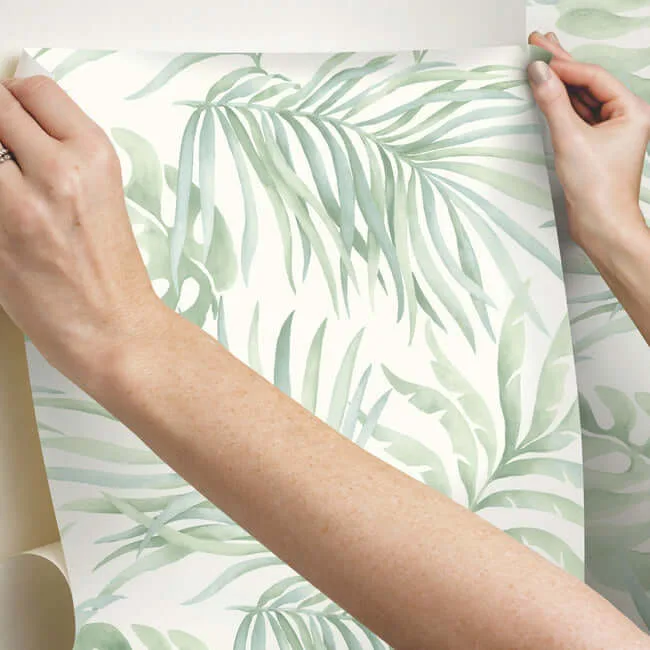 Candice Olson Paradise Palm - Aloe Wallpaper | Buy Online Candice Olson Paradise Palm wallpaper, color Aloe, SKU PSW1413RL