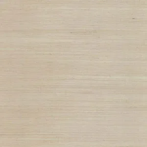 Candice Olson Plain Sisal Grasscloth wallpaper, color Taupe & Silver, SKU GC0700DL