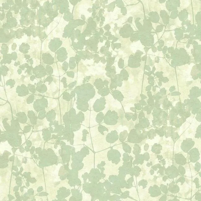 Candice Olson Pressed Leaves wallpaper, color Green, SKU NA0517