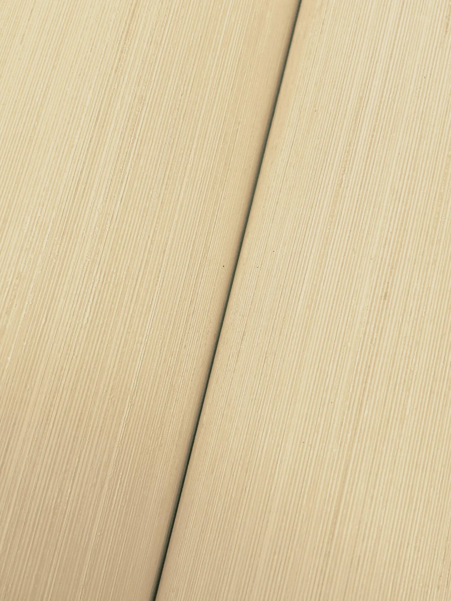 Candice Olson Quiet Vista wallpaper, color Desert, SKU NT6209N