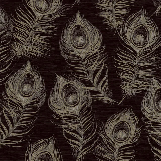 Candice Olson Regal Peacock wallpaper, color Black, SKU EV3942