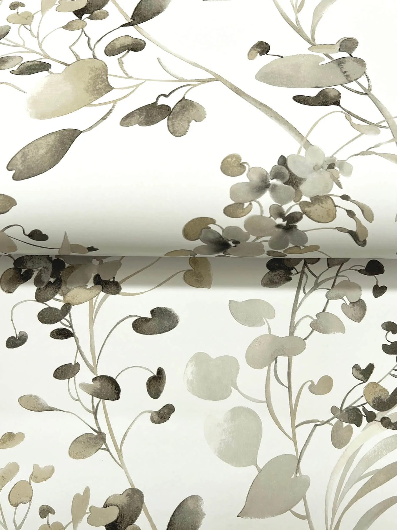 Candice Olson Spring Whispers - Charcoal Wallpaper | Buy Online Candice Olson Spring Whispers wallpaper, color Charcoal, SKU DF3342