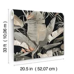 Candice Olson Tropical - Black Wallpaper | Buy Online Candice Olson Tropical wallpaper, color Black, SKU NT6135