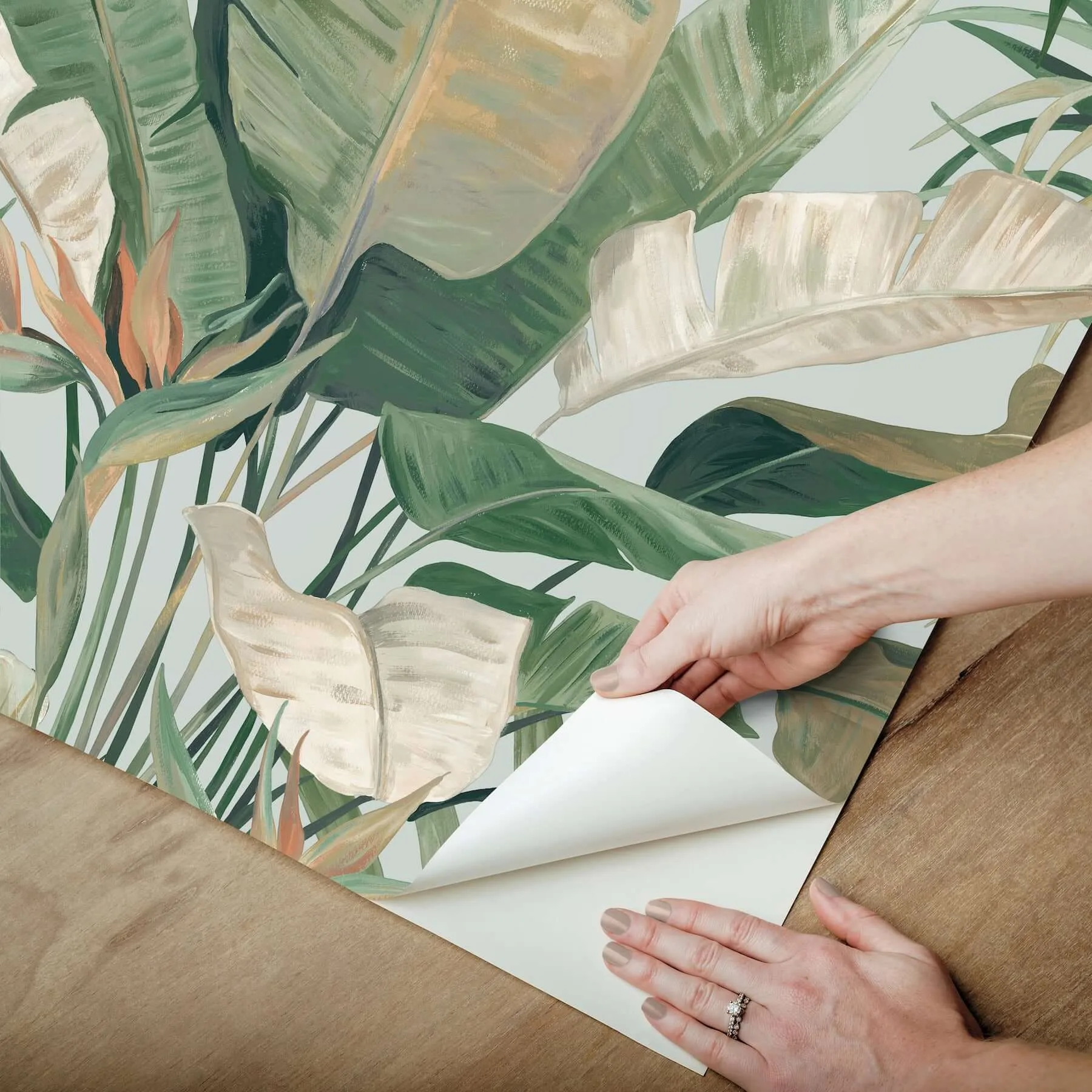 Candice Olson Tropical Cabana - Spa Wallpaper | Buy Online Candice Olson Tropical Cabana wallpaper, color Spa, SKU PSW1613RL