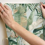 Candice Olson Tropical Cabana - Spa Wallpaper | Buy Online Candice Olson Tropical Cabana wallpaper, color Spa, SKU PSW1613RL