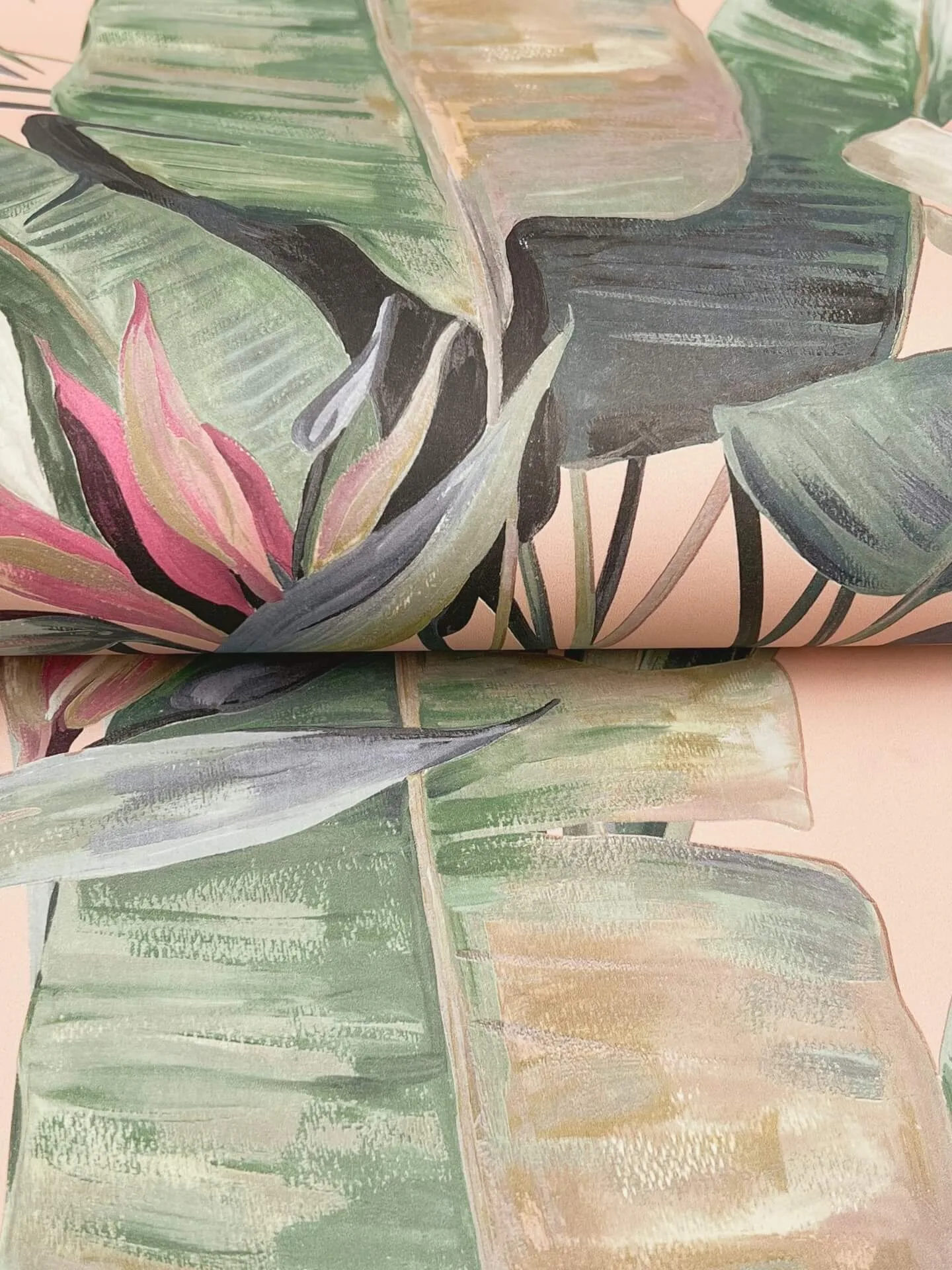 Candice Olson Tropical wallpaper, color Coral, SKU NT6132