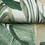 Candice Olson Tropical wallpaper, color Spa, SKU NT6134
