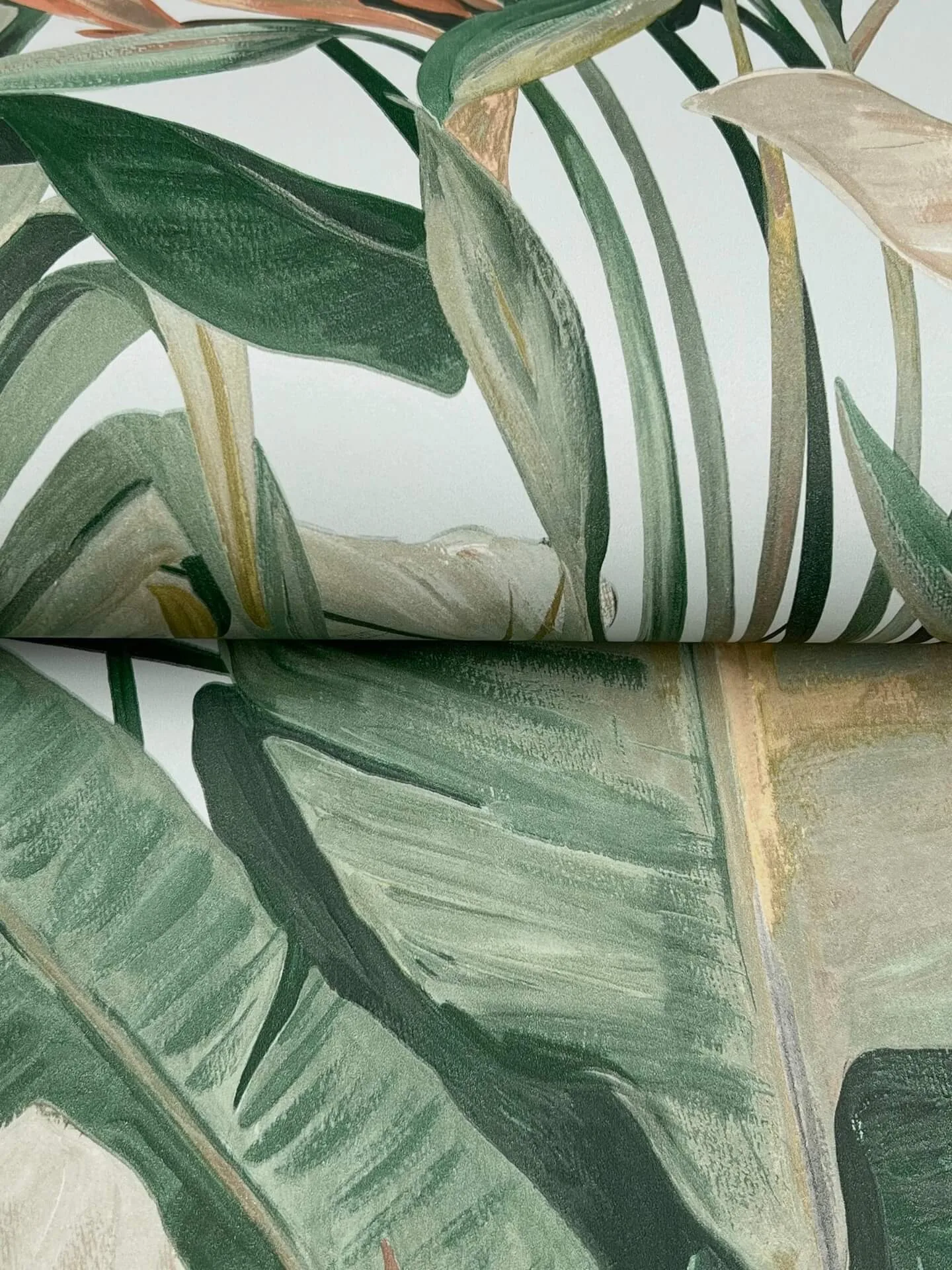 Candice Olson Tropical wallpaper, color Spa, SKU NT6134