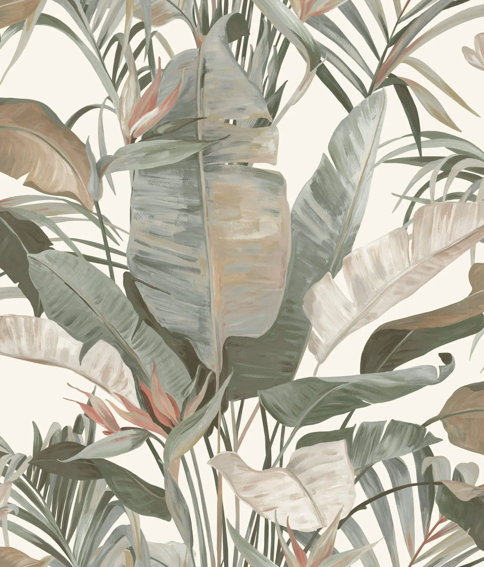 Candice Olson Tropical wallpaper, color White, SKU NT6131