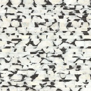 Carol Benson-Cobb Capiz Offering wallpaper, color Black & White, SKU CC1201