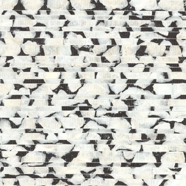 Carol Benson-Cobb Capiz Offering wallpaper, color Black & White, SKU CC1201