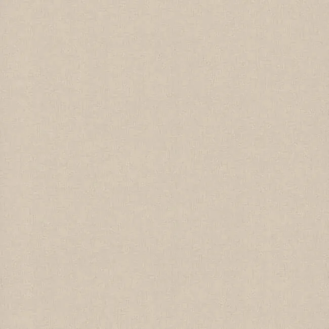 Carol Benson-Cobb Paper & Thread Weave wallpaper, color Champagne, SKU DA3581N