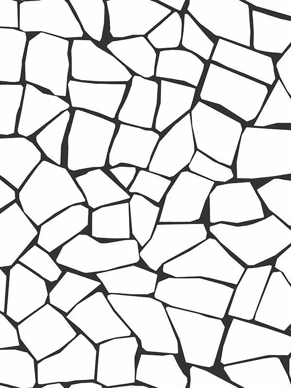 Casa Mia RM21900 Mosaic Stone Peel and Stick Wallpaper swatch