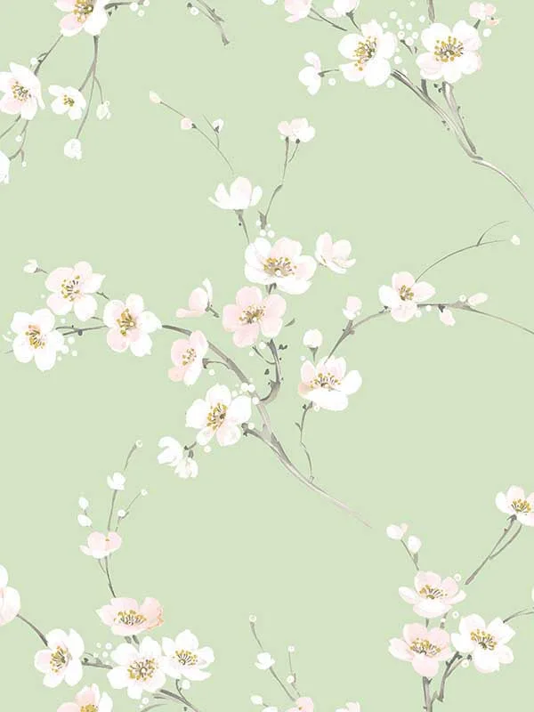 Casa Mia RM22007 Cherry Blossoms Peel and Stick Wallpaper swatch