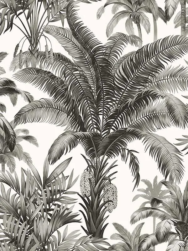 Casa Mia RM22300 Palm Grove Peel and Stick Wallpaper swatch