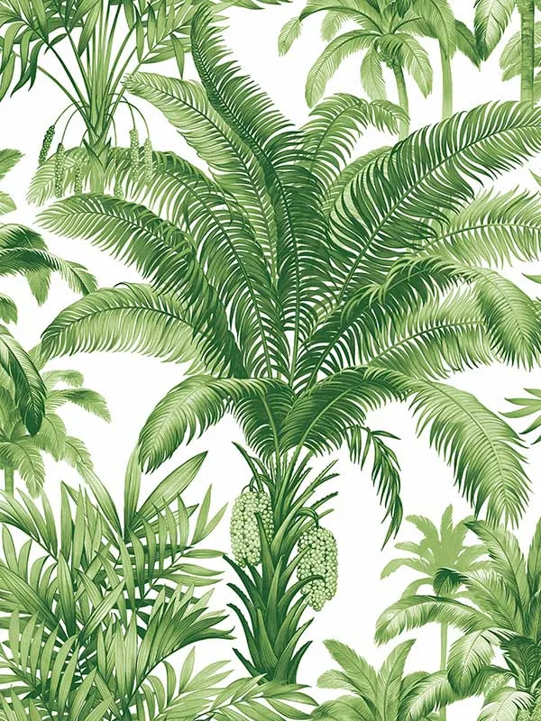 Casa Mia RM22304 Palm Grove Peel and Stick Wallpaper swatch