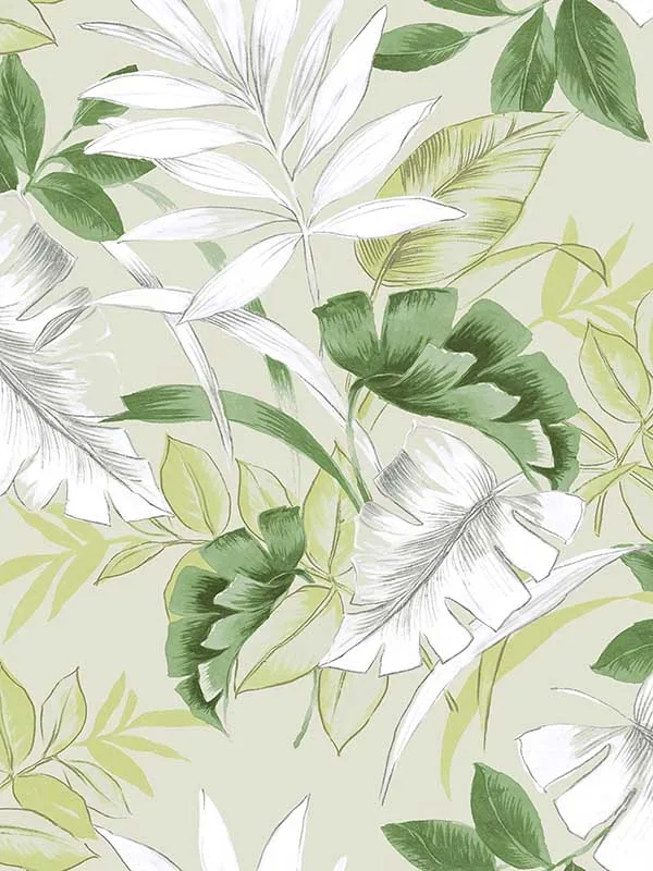 Casa Mia RM22404 Tropical Leaves Peel and Stick Wallpaper swatch