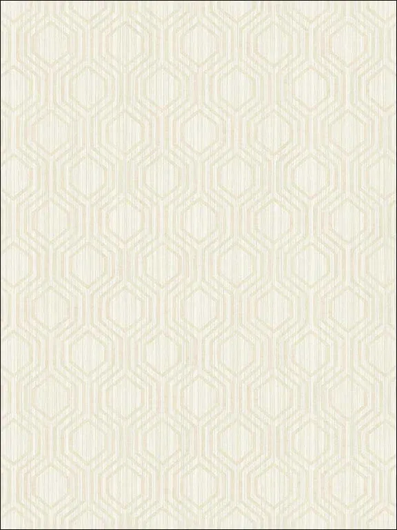 Casa Mia RM30605 Geometric Hexagon Wallpaper swatch